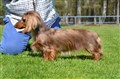 BIM LD Sätila -26 DSC_1699.JPG