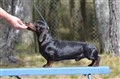 BIR KK Sätila -26 DSC_1631.JPG