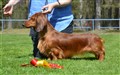 BIS 3 LN Sätila -26 DSC_1727.JPG