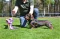 BIS Valp 5 Sätila -26 DSC_1452.JPG